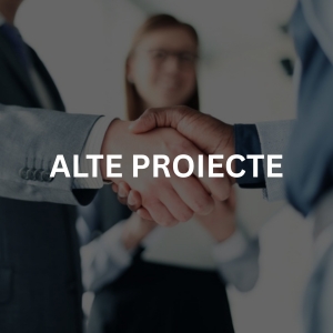 Alte proiecte