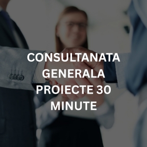 Consultanta Generala Proiecte 30 Minute