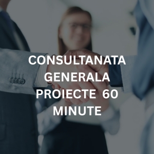 Consultanta Generala Proiecte 60 Minute