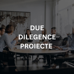 Due Diligence Proiecte